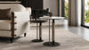 Monica coffee table with a sofa and lounge chair