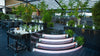 Rooftop terrace with lit steps and planting