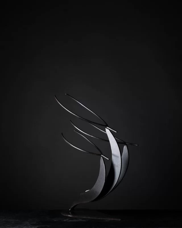 ACCESSORI 