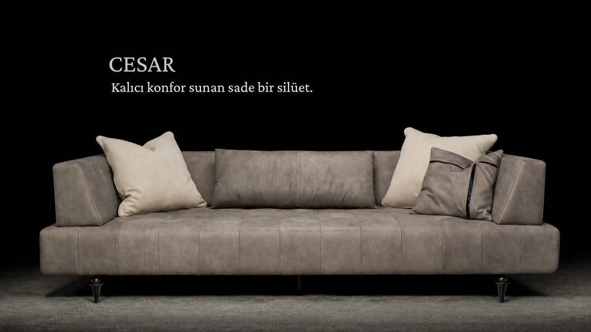 Cesar Koltuk