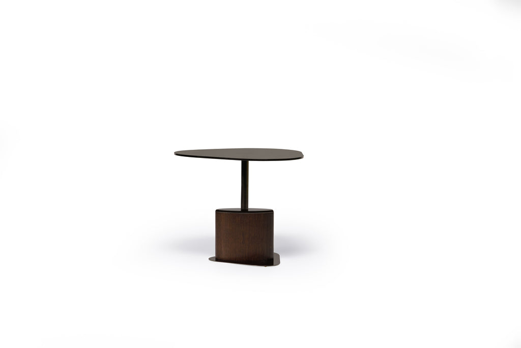TURTLE COFFEE TABLE