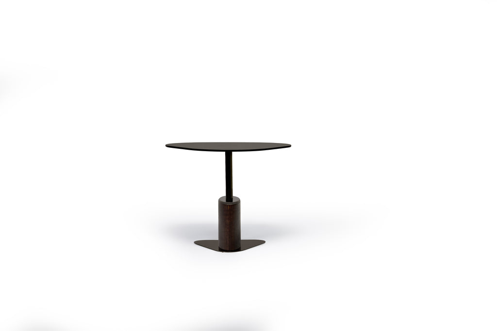 TURTLE COFFEE TABLE