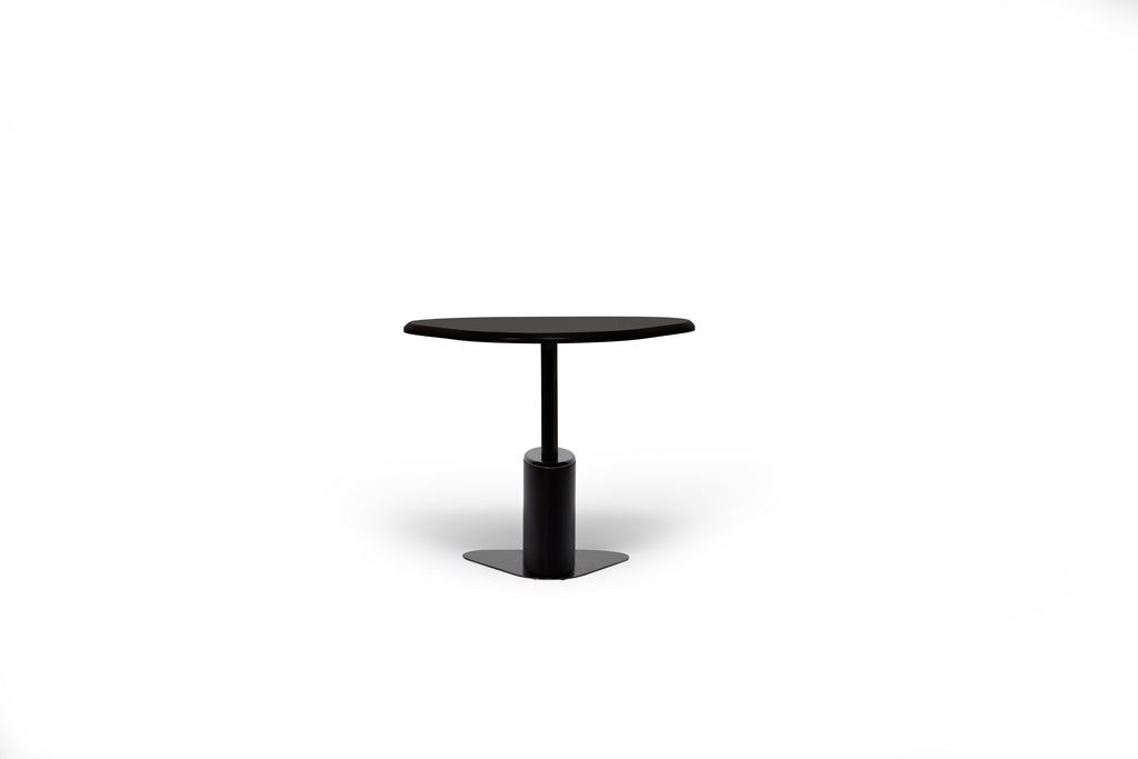 TURTLE COFFEE TABLE