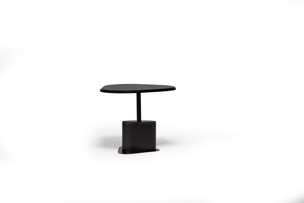 TURTLE COFFEE TABLE