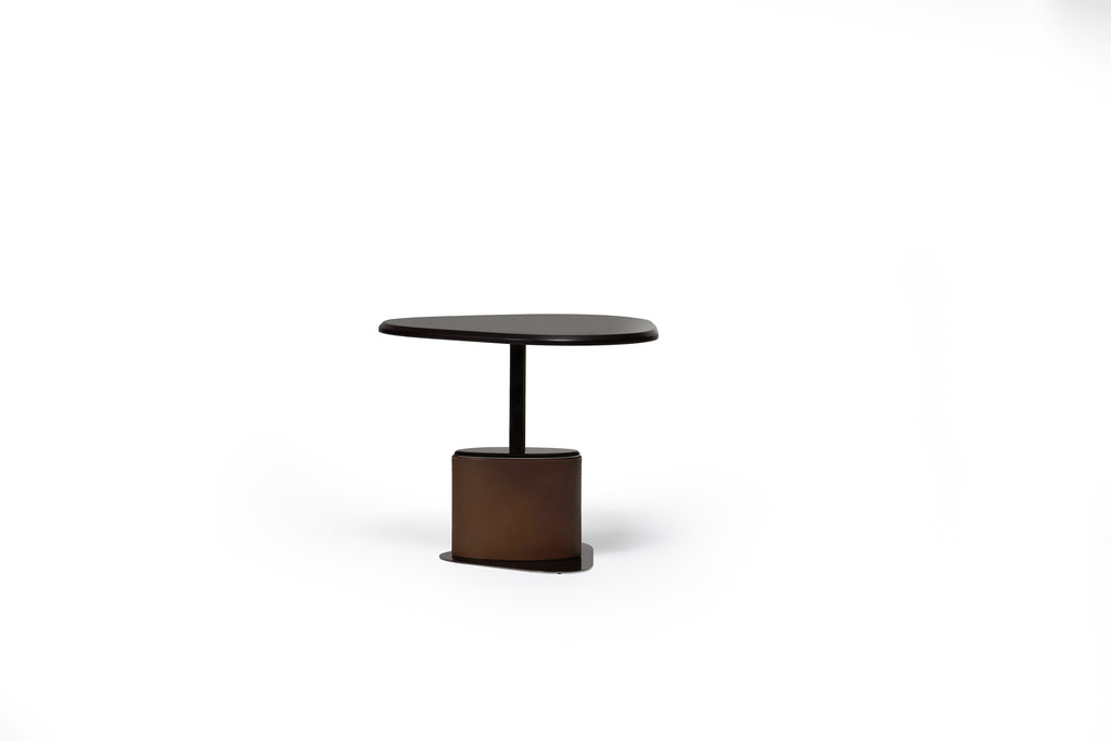 TURTLE COFFEE TABLE