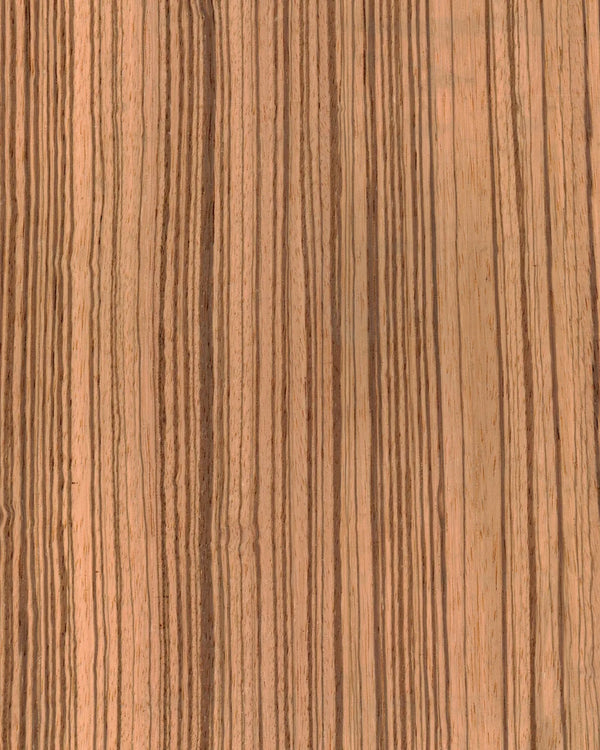 Zebrano (zebrawood) &middot; Figured & burl