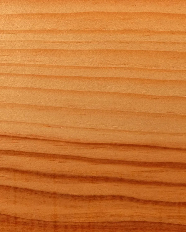 Scots pine &middot; Light