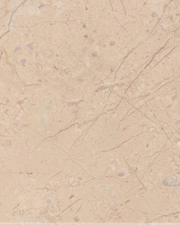 Crema Marfil &middot; Bej ve kahve