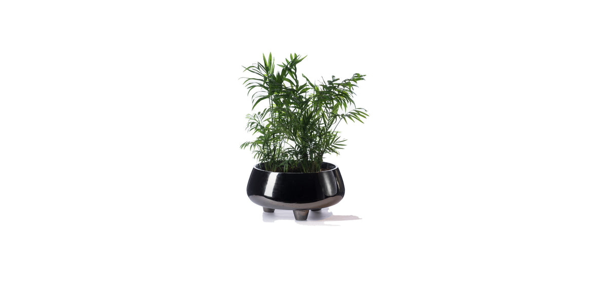 Pod Planter — handmade by Sitdesign, Istanbul