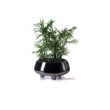 Pod Planter — handmade by Sitdesign, Istanbul