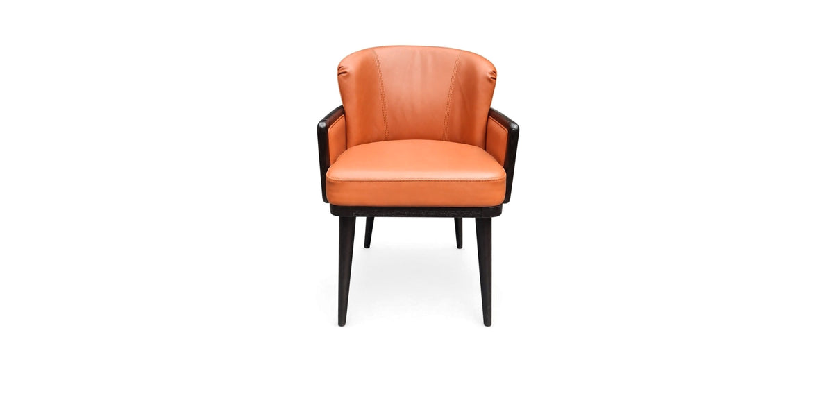 Shane dining chair, front view